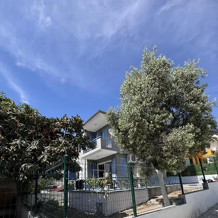 In Stylish And Peaceful Center